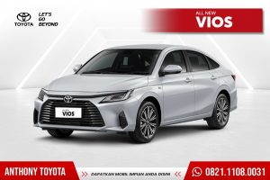 All New Vios