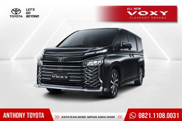 All New Voxy